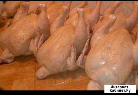 4907029m7d16e81c все для дома и дачи в димитровграде