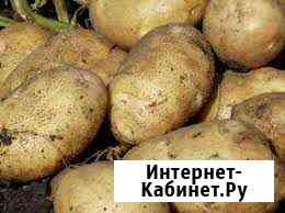 авито губкин для дома и дачи. Смотреть фото авито губкин для дома и дачи. Смотреть картинку авито губкин для дома и дачи. Картинка про авито губкин для дома и дачи. Фото авито губкин для дома и дачи