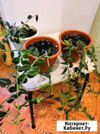 4983514m48a1e769 все для дачи б у п камчатский