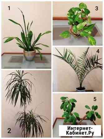 4992136mde3511b4 все для дачи б у п камчатский