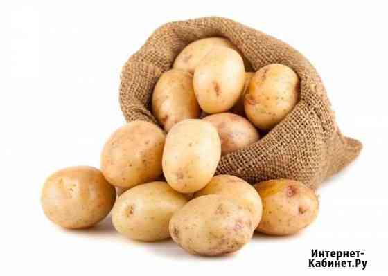 5020263m16a6d1c8 все для дома и дачи в димитровграде