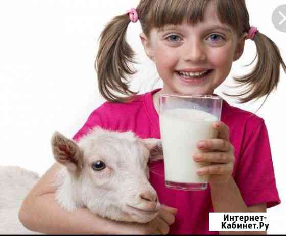 5029811mb1dbefa0 все для дома и дачи в димитровграде