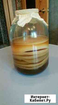 5073069m1d777154 все для дачи б у п камчатский