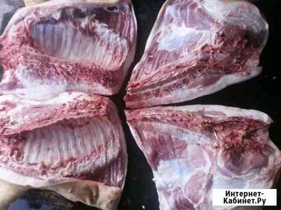 5683131m66d4bb41 все для дома и дачи в димитровграде