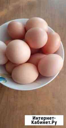 5694211m2b487f45 все для дома и дачи в димитровграде