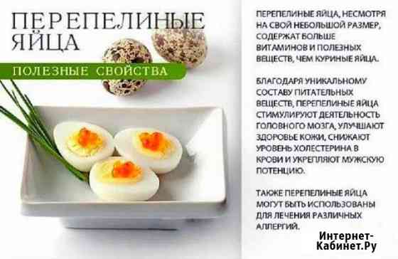 5698276m9df661b8 все для дома и дачи в димитровграде